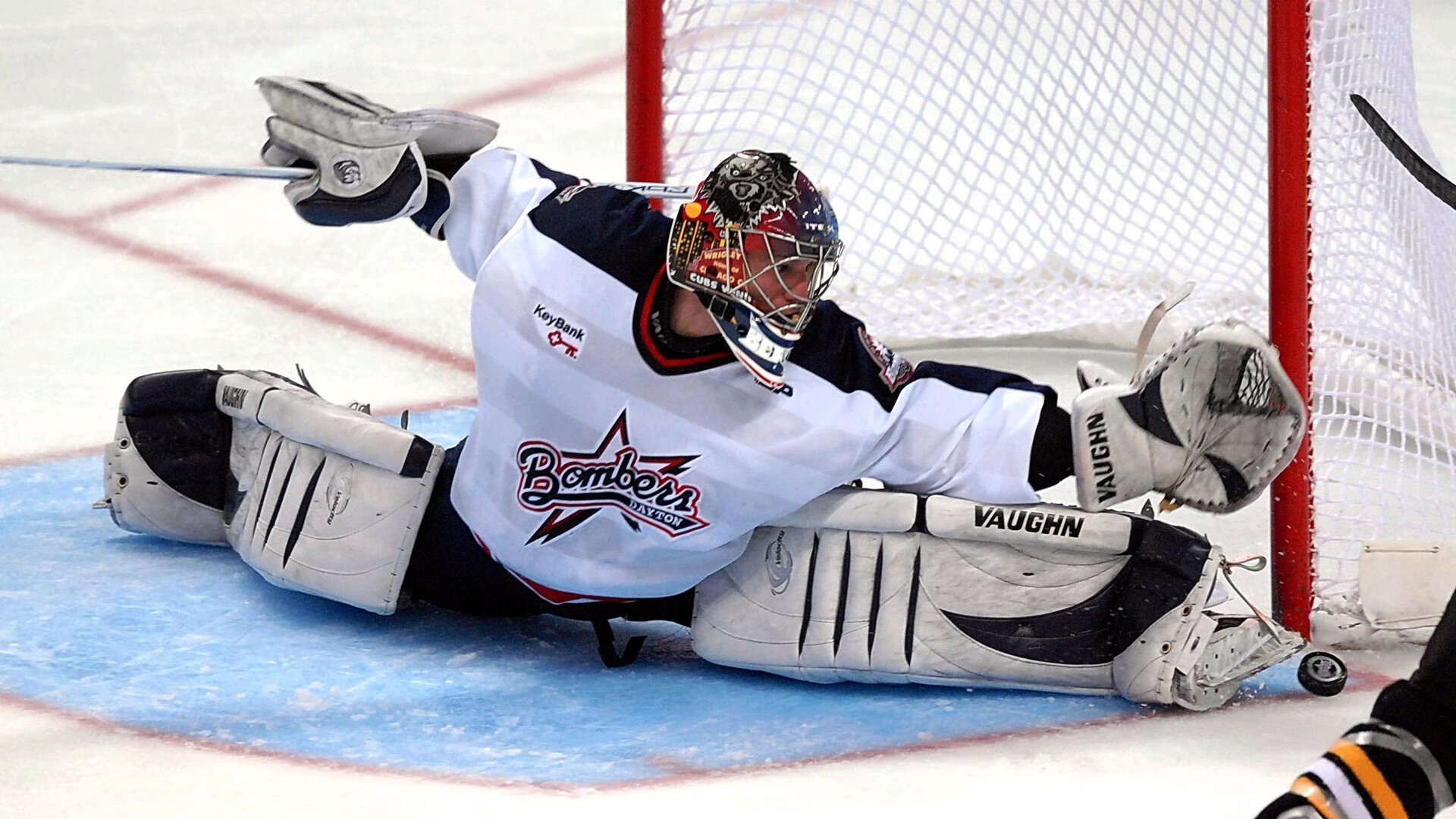 _运动员简介：从新秀到传奇的奋斗历程_，运动员介绍